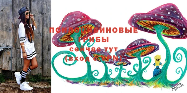 соль ск Алзамай