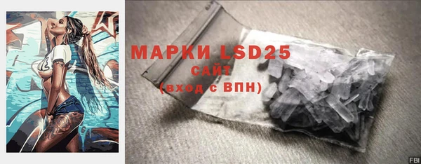 прущие грибы Нефтегорск